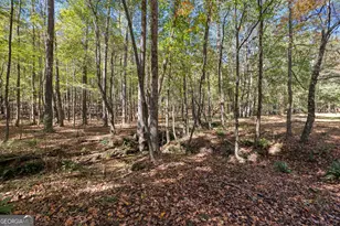 6535 Ridgeway Rd, Franklin, GA 30217 - Photo 35