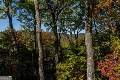 357 Skyline Drive, Cherry Log, GA 30522 - Photo 55