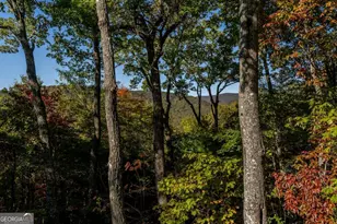 357 Sky Line Dr, Cherry Log, GA 30522 - Photo 55