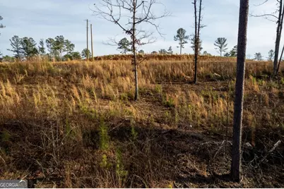 Lot 177 Shallow Water Way, Talking Rock, GA 30175 - Photo 27