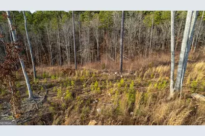 Lot 177 Shallow Water Way, Talking Rock, GA 30175 - Photo 7