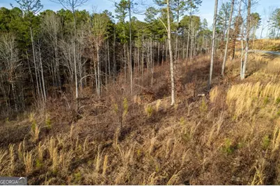 Lot 177 Shallow Water Way, Talking Rock, GA 30175 - Photo 23