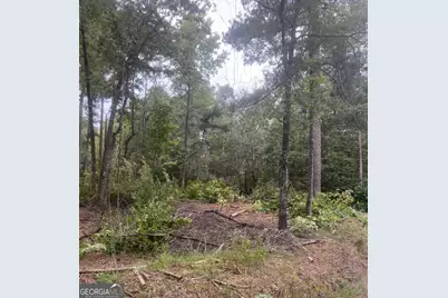0 Island Creek Drive, Sparta, GA 31087 - Photo 3