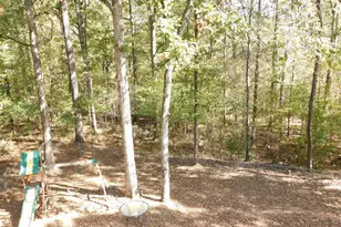 2614 Carolina Ct, Bethlehem, GA 30620 - Photo 39