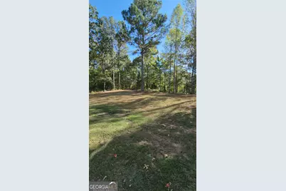 249 Serenity Loop, Cataula, GA 31804 - Photo 43