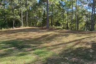 249 Serenity Loop, Cataula, GA 31804 - Photo 43