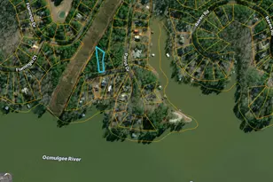 0 Parrot Ct, Monticello, GA 31064 - Photo 1