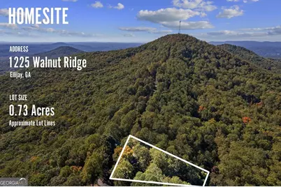 1225 Walnut Ridge, Ellijay, GA 30536 - Photo 65