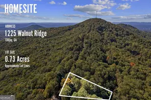 1225 Walnut Ridge, Ellijay, GA 30536 - Photo 65