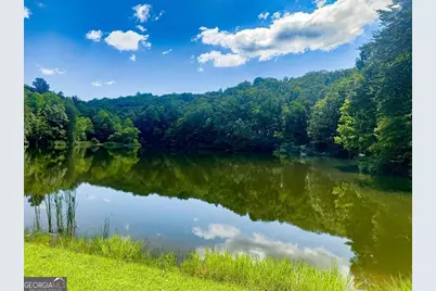 1225 Walnut Ridge, Ellijay, GA 30536 - Photo 75