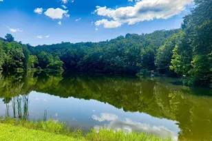 1225 Walnut Ridge, Ellijay, GA 30536 - Photo 75