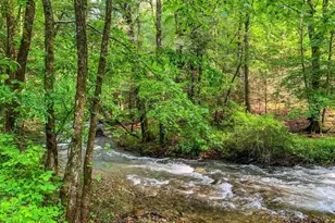 1225 Walnut Ridge, Ellijay, GA 30536 - Photo 83