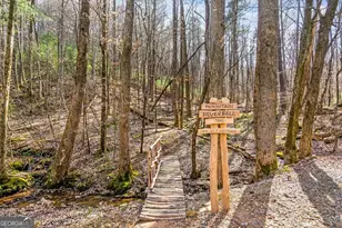 1225 Walnut Ridge, Ellijay, GA 30536 - Photo 67