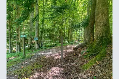 1225 Walnut Ridge, Ellijay, GA 30536 - Photo 71