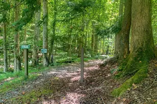 1225 Walnut Ridge, Ellijay, GA 30536 - Photo 71