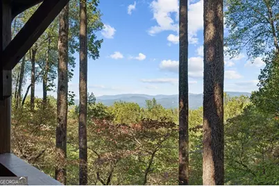 1225 Walnut Ridge, Ellijay, GA 30536 - Photo 43