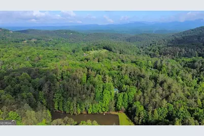 1225 Walnut Ridge, Ellijay, GA 30536 - Photo 79