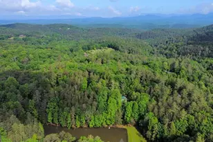 1225 Walnut Ridge, Ellijay, GA 30536 - Photo 79