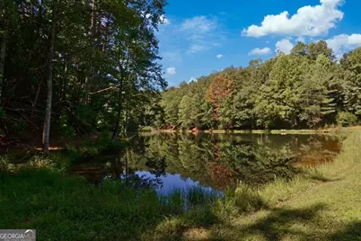 1225 Walnut Ridge, Ellijay, GA 30536 - Photo 73