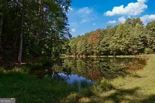 1225 Walnut Ridge, Ellijay, GA 30536 - Photo 73