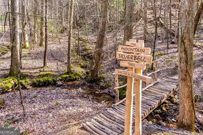 1225 Walnut Ridge, Ellijay, GA 30536 - Photo 69