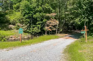 1225 Walnut Ridge, Ellijay, GA 30536 - Photo 75
