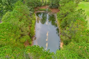 2656 Ware St, Blackshear, GA 31516 - Photo 23