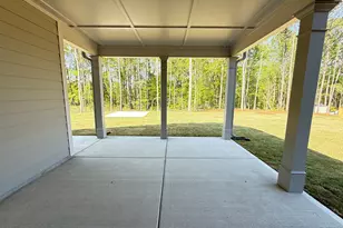 14 Tea House Ln, Newnan, GA 30263 - Photo 19