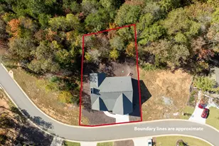 113 Smt Vw Ln, Ellijay, GA 30540 - Photo 55