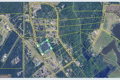 0 Mathews Road, Roberta, GA 31078 - Photo 1