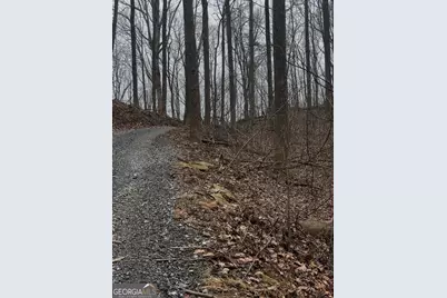 0 Sutton Road, Talking Rock, GA 30175 - Photo 9