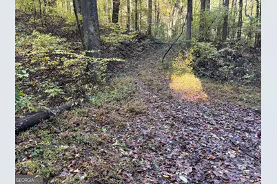 0 Sutton Road, Talking Rock, GA 30175 - Photo 3