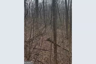 0 Sutton Road, Talking Rock, GA 30175 - Photo 7