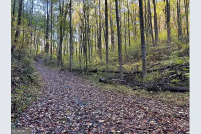 0 Sutton Road, Talking Rock, GA 30175 - Photo 1