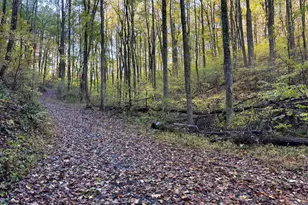 0 Sutton Rd, Talking Rock, GA 30175 - Photo 1