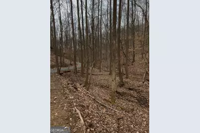 0 Sutton Road, Talking Rock, GA 30175 - Photo 11