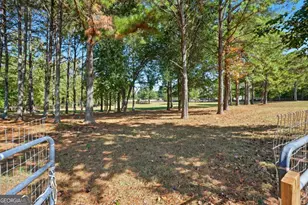 100 Marshas Vineyard, Hampton, GA 30228 - Photo 57