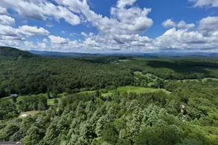 1048 Hawks Claw Rd, Blairsville, GA 30512 - Photo 55