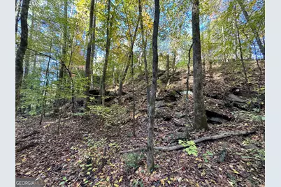 150 Babcock Road, Jasper, GA 30143 - Photo 7