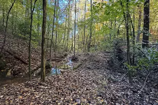 150 Babcock Rd, Jasper, GA 30143 - Photo 1