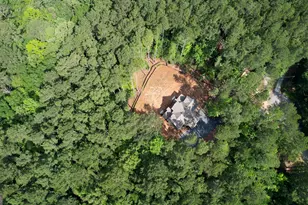 1010 Northwoods Point, Greensboro, GA 30642 - Photo 87