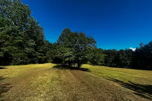 91 Almetie Dr, Toccoa, GA 30577 - Photo 7