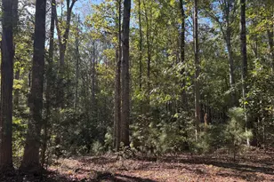 1516 Stark Rd, Jackson, GA 30233 - Photo 29