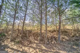 134 Cypress Ct, Canton, GA 30115 - Photo 35