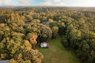 295 Hillview Rd, Hampton, GA 30228 - Photo 69