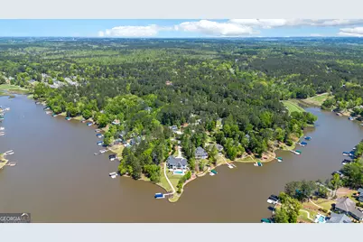 1010 Troon Court, Greensboro, GA 30642 - Photo 17