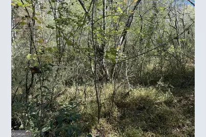 0 Heritage Way, Ellijay, GA 30540 - Photo 19