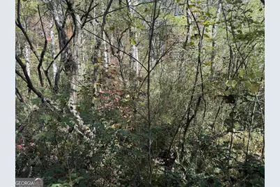 0 Heritage Way, Ellijay, GA 30540 - Photo 17