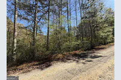 0 Heritage Way, Ellijay, GA 30540 - Photo 3