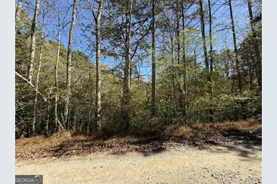 0 Heritage Way, Ellijay, GA 30540 - Photo 1